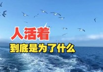 人活着到底为了什么?